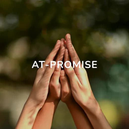 At-promise.webp