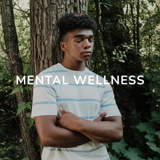 Wellness.webp